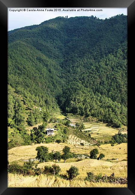  Eastern Himalaya Bhutan Framed Print by Carole-Anne Fooks