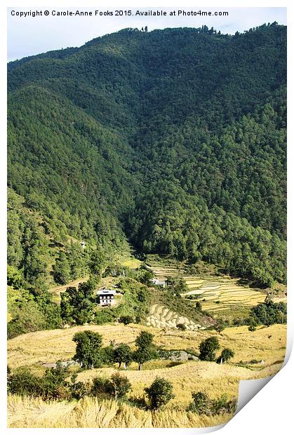  Eastern Himalaya Bhutan Print by Carole-Anne Fooks