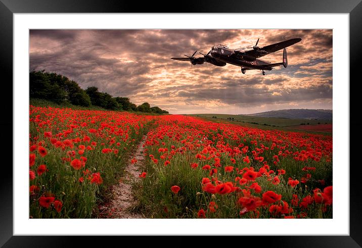  Lancaster bomber Vera, flying over poppy fields Framed Mounted Print by Andrew Scott