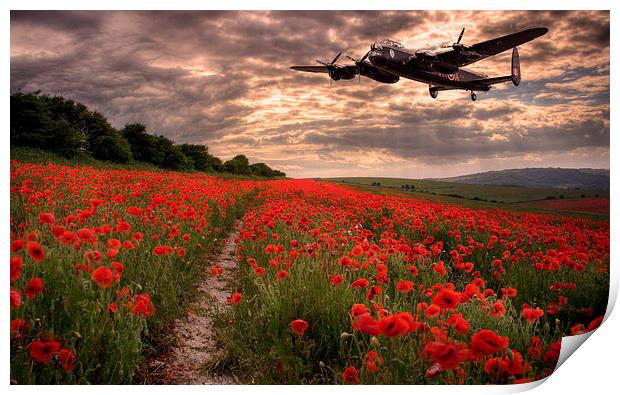  Lancaster bomber Vera, flying over poppy fields Print by Andrew Scott