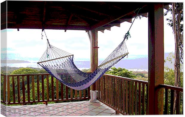 Hammock with a View  Canvas Print by james balzano, jr.