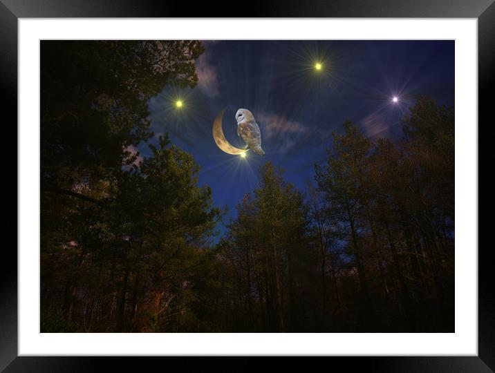  Swinging on a Star. Framed Mounted Print by Heather Goodwin