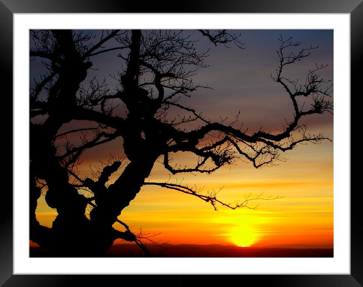  sun goes down Framed Mounted Print by dale rys (LP)