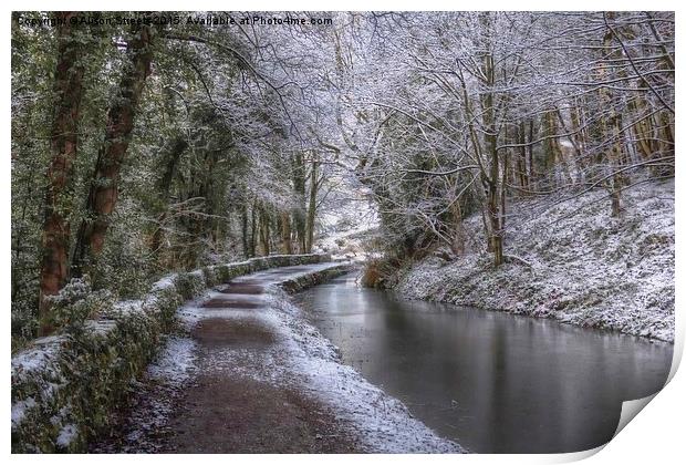  Cromford Canal in Winter Print by Alison Streets