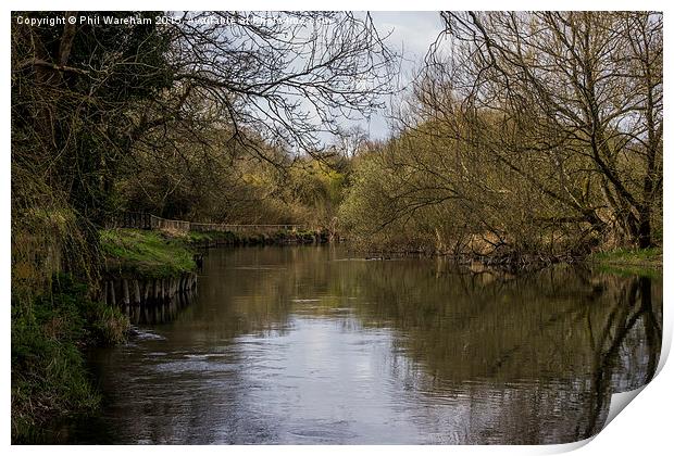  The Stour at Muscliffe Print by Phil Wareham
