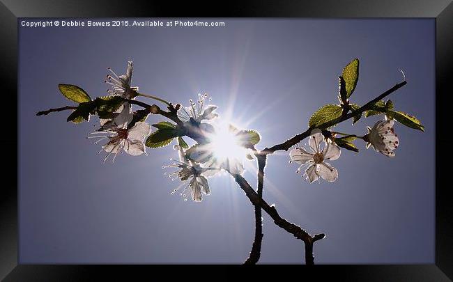  Sun, Sky & Blossom  Framed Print by Lady Debra Bowers L.R.P.S