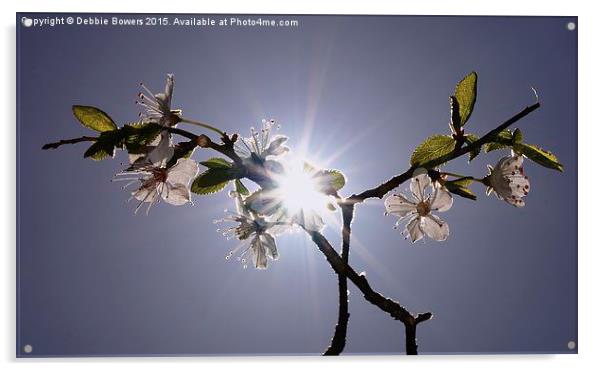  Sun, Sky & Blossom  Acrylic by Lady Debra Bowers L.R.P.S