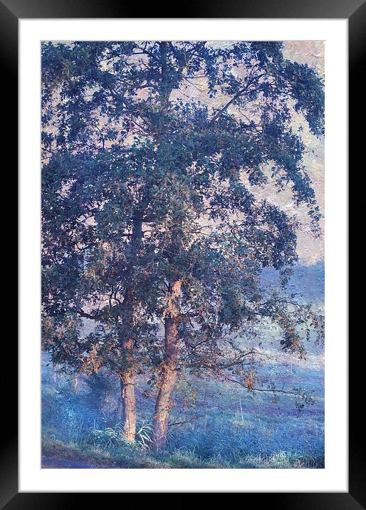  Blue Trees. Monet Style  Framed Mounted Print by Jenny Rainbow