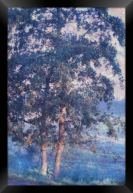  Blue Trees. Monet Style  Framed Print by Jenny Rainbow