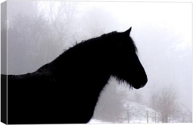 Horse in snowy field Canvas Print by Pete Holloway