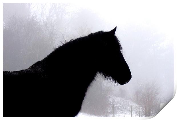 Horse in snowy field Print by Pete Holloway