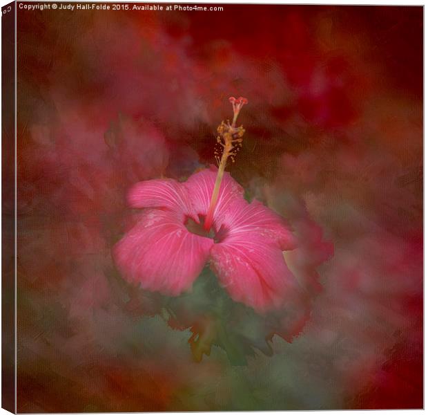  Flaming Hibiscus Canvas Print by Judy Hall-Folde