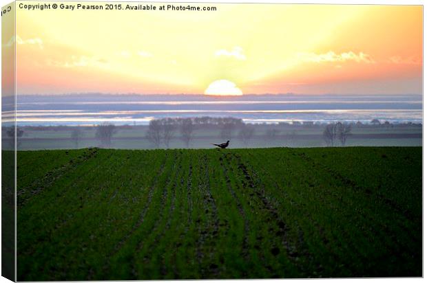 Sunset from Dersingham looking across The Wash Canvas Print by Gary Pearson