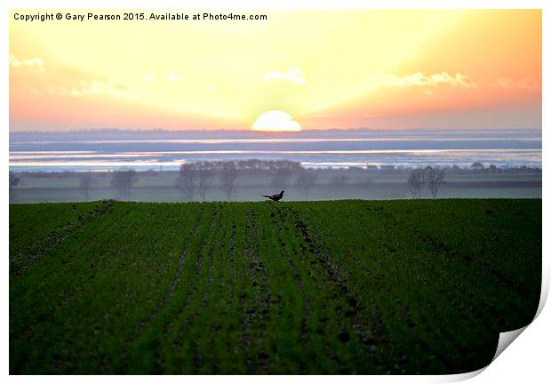 Sunset from Dersingham looking across The Wash Print by Gary Pearson