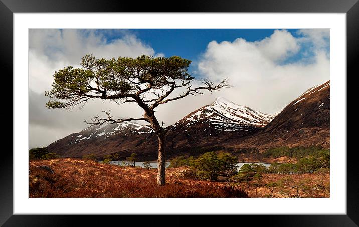  Glen Affric Framed Mounted Print by Macrae Images