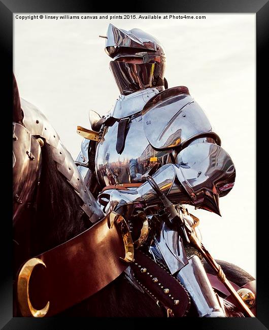 Knight In Shining Armour  Framed Print by Linsey Williams