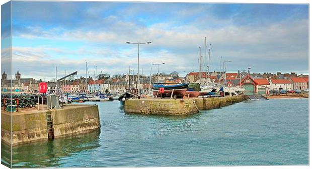  anstruther harbor  Canvas Print by dale rys (LP)