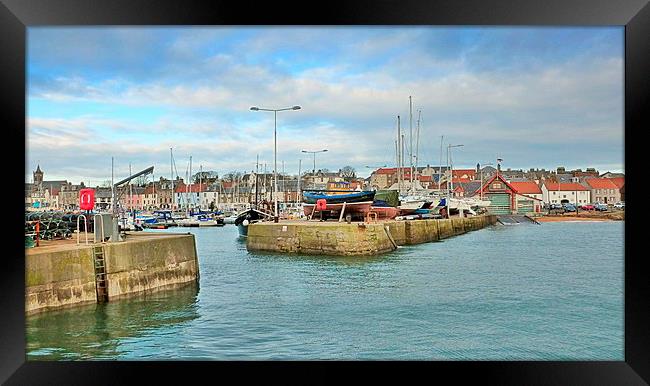  anstruther harbor  Framed Print by dale rys (LP)