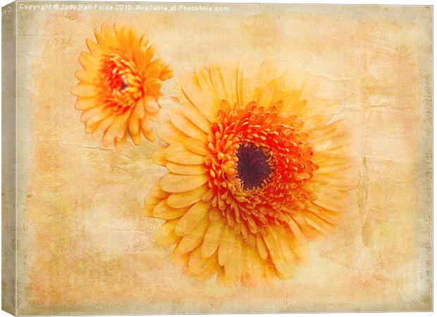  Bright Orange Canvas Print by Judy Hall-Folde