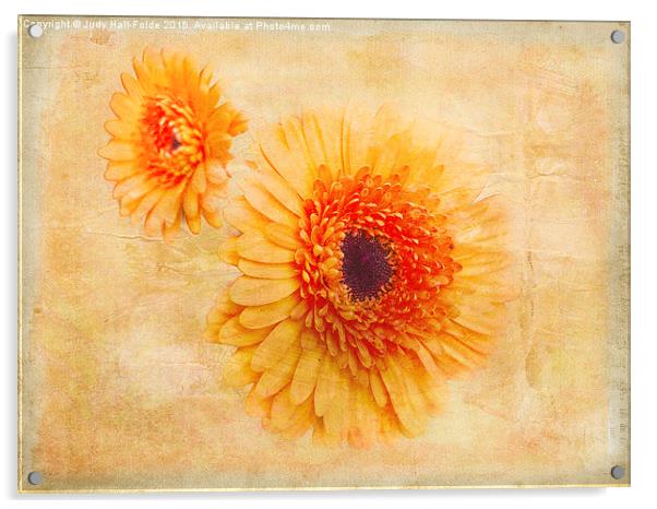  Bright Orange Acrylic by Judy Hall-Folde