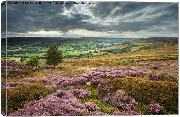  Across to Farndale Canvas Print by Martin Williams