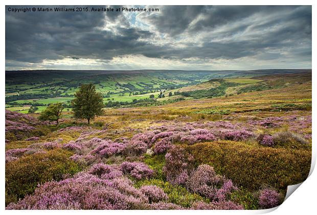  Across to Farndale Print by Martin Williams