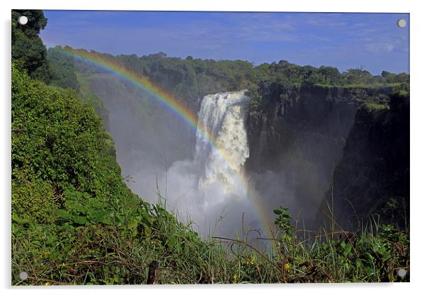 Waterfall Rainbow Acrylic by Tony Murtagh
