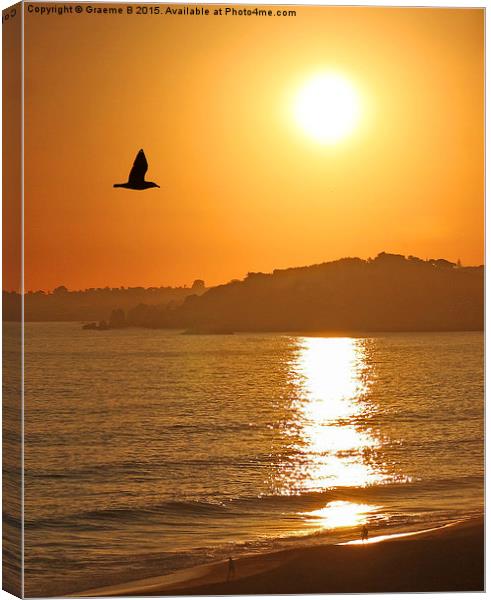 Flying into Sunset  Canvas Print by Graeme B