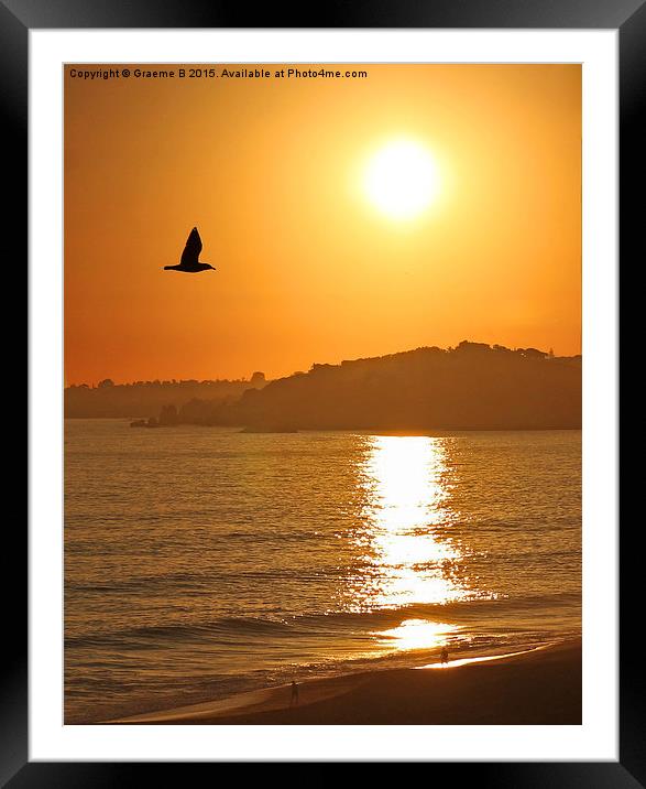 Flying into Sunset  Framed Mounted Print by Graeme B