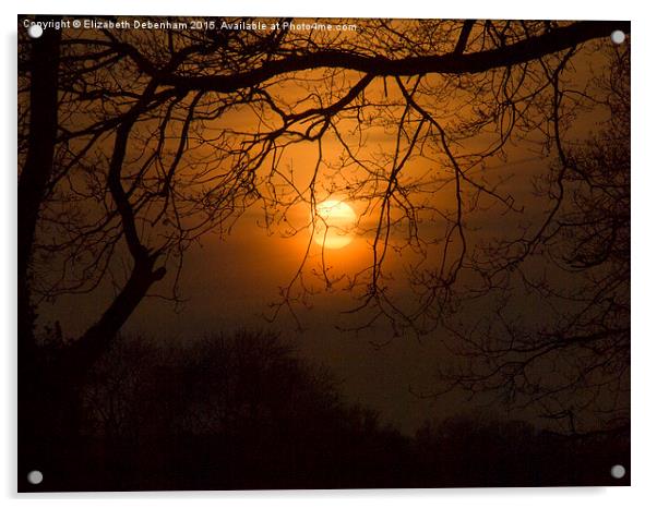  Sun suspended in the trees Acrylic by Elizabeth Debenham