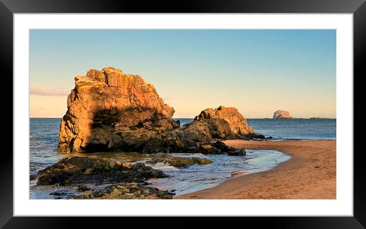  bass rock  Framed Mounted Print by dale rys (LP)