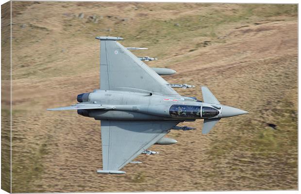  Raf Typhoon Canvas Print by Rory Trappe