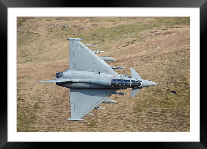  Raf Typhoon Framed Mounted Print by Rory Trappe