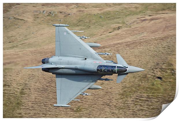  Raf Typhoon Print by Rory Trappe