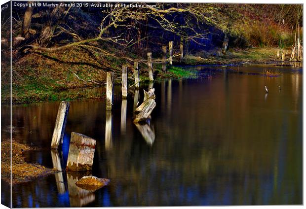  Wood and Water Canvas Print by Martyn Arnold