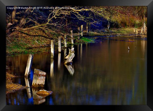  Wood and Water Framed Print by Martyn Arnold