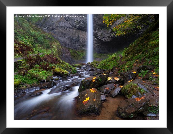 Fall at Latourell Falls Framed Mounted Print by Mike Dawson