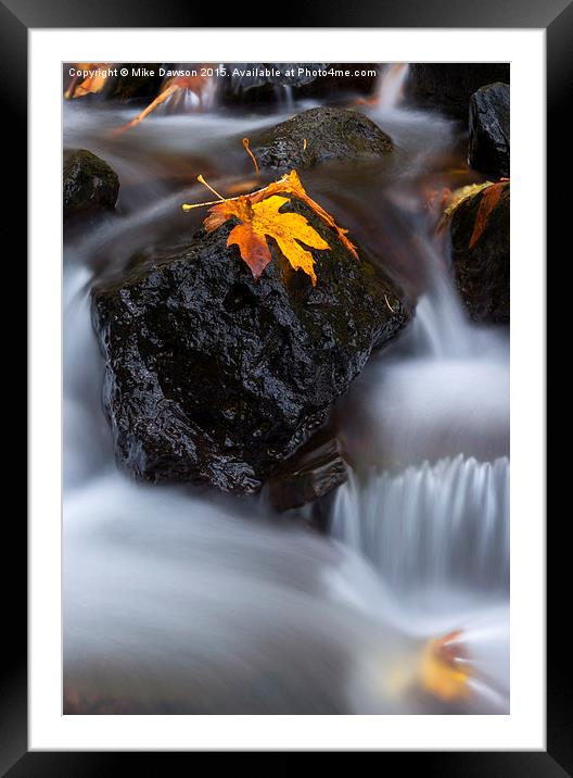 Autumn Above and Below Framed Mounted Print by Mike Dawson