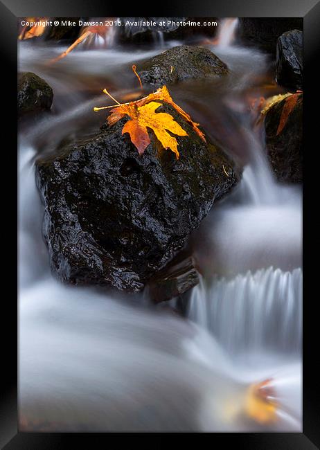 Autumn Above and Below Framed Print by Mike Dawson