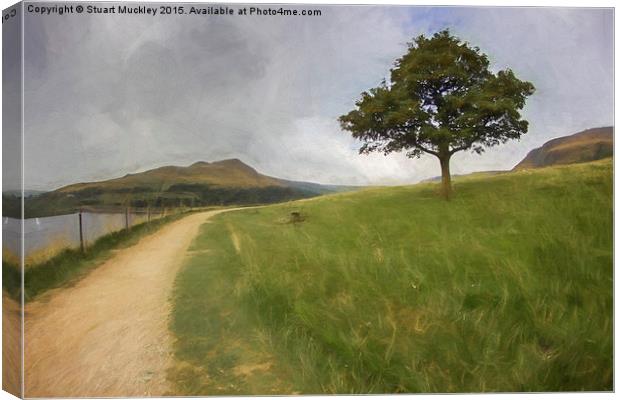  Solitary Tree Canvas Print by Stuart Muckley