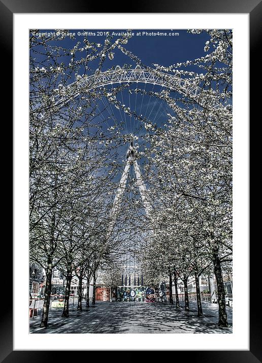  The London Eye in blossom,  London Framed Mounted Print by Diane Griffiths