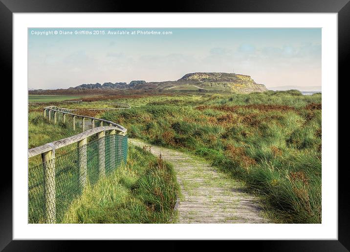 Hengistbury Head Framed Mounted Print by Diane Griffiths