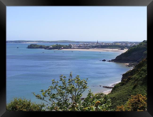 Tenby  town and North beach from the costal path Framed Print by Shoshan Photography 