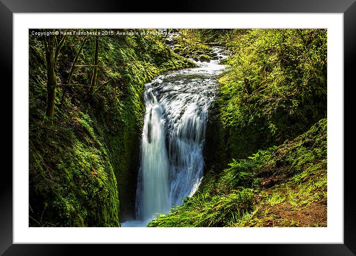 Natures Finest Framed Mounted Print by Hans Franchesco