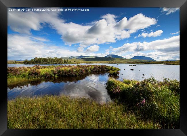A rare sunny day on Ranoch Moor Scotland Framed Print by David Irving