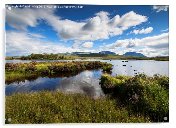 A rare sunny day on Ranoch Moor Scotland Acrylic by David Irving