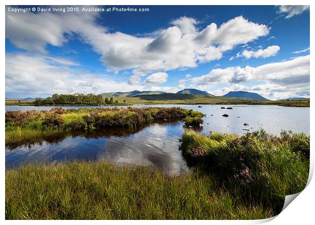 A rare sunny day on Ranoch Moor Scotland Print by David Irving