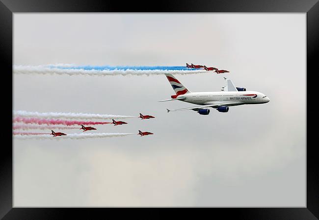 British Birds  Framed Print by J Biggadike