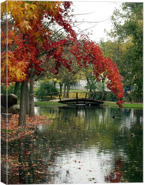 Fall Color with Bridge 2 Canvas Print by Nick Minoff