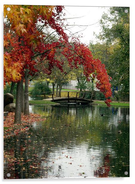 Fall Color with Bridge 2 Acrylic by Nick Minoff